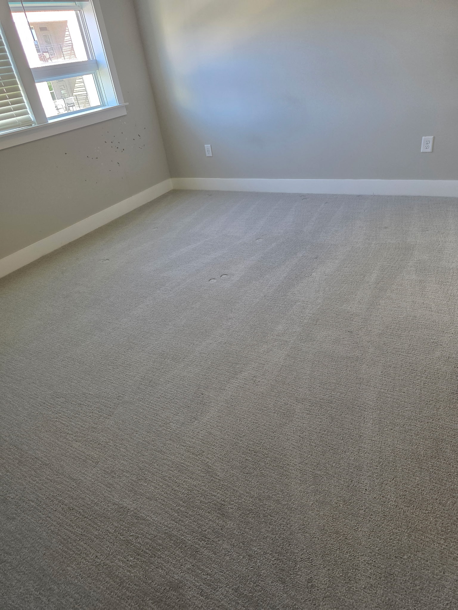 The same bedroom carpet after a Coley Clean Co cleaning